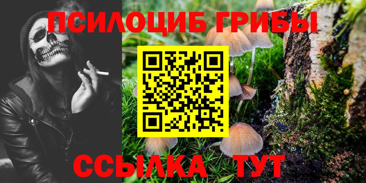 где можно купить   Галлюциногенные грибы MAGIC MUSHROOMS  Вход с VPN  Великий Новгород 