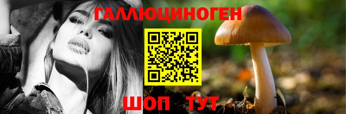 Галлюциногенные грибы GOLDEN TEACHER Великий Новгород